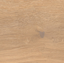 Caesar Cocoon Cadence Glee 20x120 - AGRG
