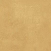 atlas_concorde_boost_pro_mustard_1.jpg