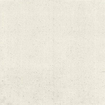 bardelli_soda1f_1.jpg