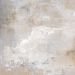Porcelánico Industrial Efecto Cemento Gris 120X120 - Ecpg361