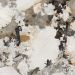 Porcelánico Efecto Mármol Patagonia Pulido 120X120 - Epaa908